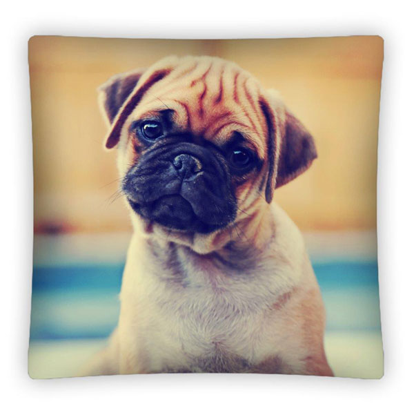 POVLAKY NA VANKÚŠIKY